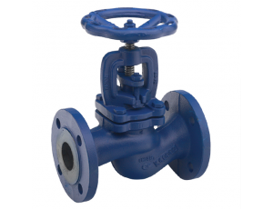 Van cầu (Globe valve)