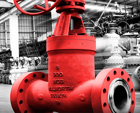 CÔNG TY TNHH XNK TM KHANG PHÁT